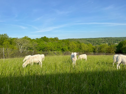 What I don't know about Farming